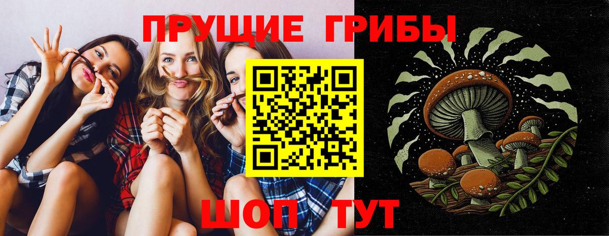 Галлюциногенные грибы Psilocybine cubensis Холмск