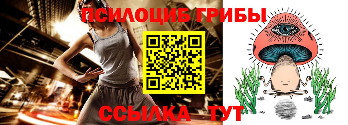 Псилоцибиновые грибы Psilocybe  Вход с VPN  Холмск 