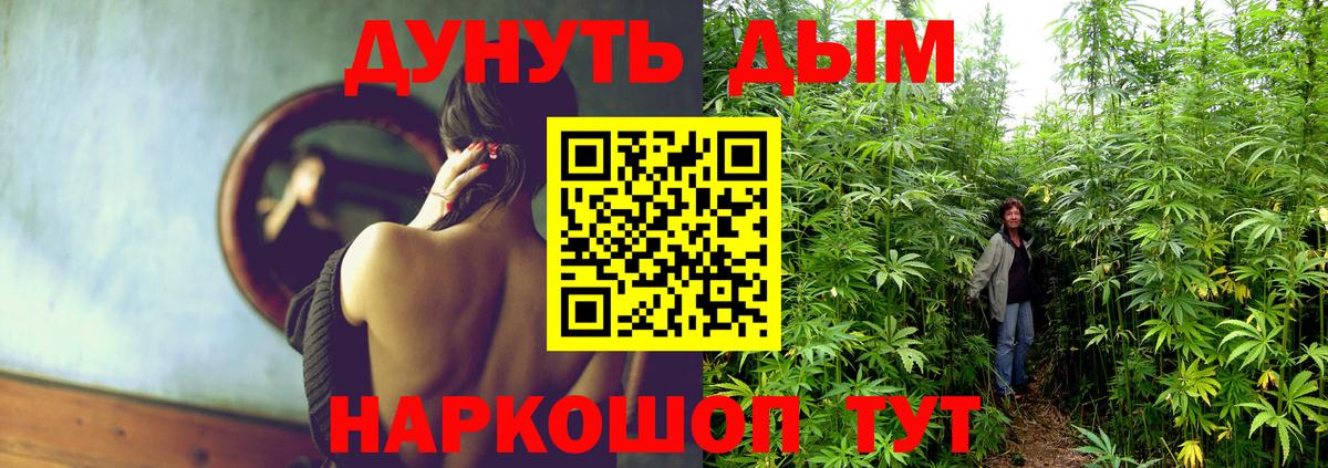 Холмск  Бошки марихуана White Widow  Шишки марихуана тримм  Шишки марихуана планчик  Вход с VPN 